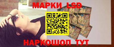гидропоника Дубна